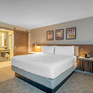 King Studio Suite